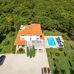 Luca Villa *